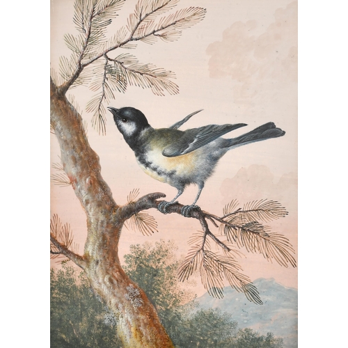 6 - Christophe-Ludwig Agricola (1665-1724) German. A Set of Three Song Birds, Goldfinch, Chaffinch and a... 