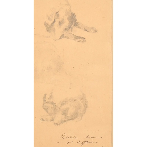 103 - Jean Maxime Claude (1823-1904) French. Studies of Dogs, Pencil, with a studio stamp signature, and i... 