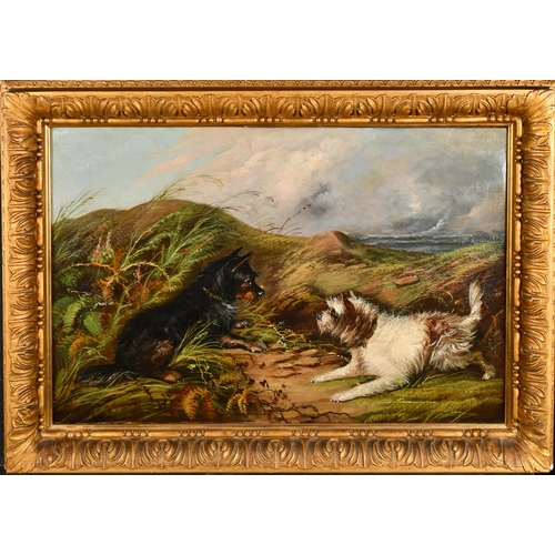 107 - J. Langlois (c. 1855-1904) British. Terriers in the Sand Dunes, Oil on canvas, Signed, 16