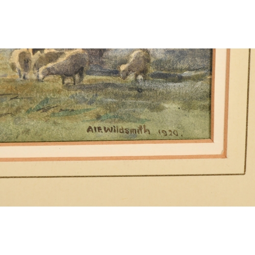 141 - A E Wildsmith (1876-1936) British. A Shepherd and Flock, Watercolour, Signed and dated 1920, 11.75