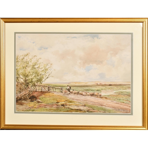 55 - Claude Hayes (1852-1922) British. A Shepherd and Flock in an Open Landscape, Watercolour, Signed, 13... 