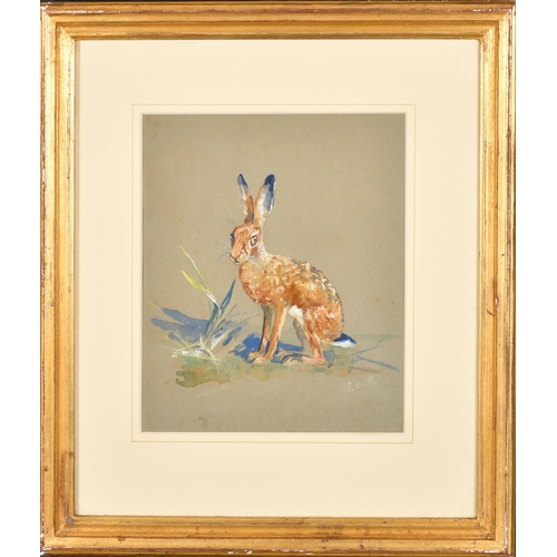 130 - Michael Lyne (1912-1989) British. A Hare, Watercolour and gouache, Signed, 9.5