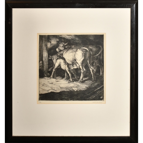 161 - Karl Max Schultheiss (1885-1961) German. Calf Feeding, Etching, Indistinctly signed and numbered 15/... 