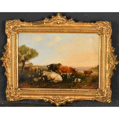 95 - 19th Century English School. Cattle at Rest, Oil on panel, In an ornate gilt composition frame, 8.5