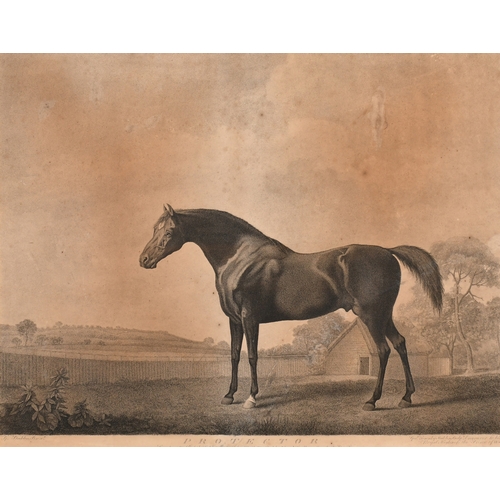 128 - After George Stubbs (1724-1806) British. 