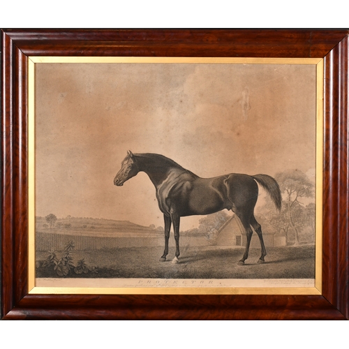 128 - After George Stubbs (1724-1806) British. 