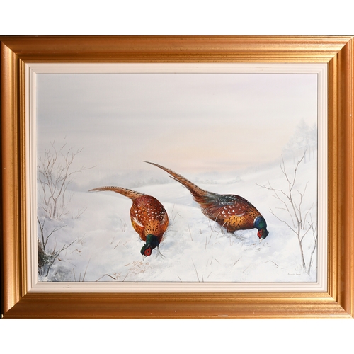 131 - Bernadette Bawol (1945-    ) British. Pheasants in a Snow Covered Landscape, Oil on canvas, Signed, ... 