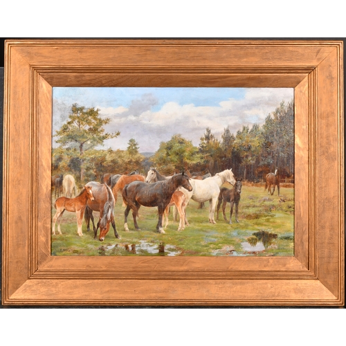 132 - Francis Mabel Hollams (1877-1963) British. Horses in a Field, Oil on canvas laid down, Signed, 14