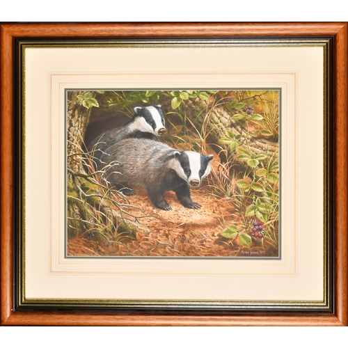 289 - Michael Jackson (1961-    ) British. Badgers by their Sett, Watercolour, Signed and dated 1993, 12.5... 