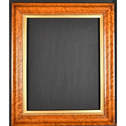 422 - 19th Century English School. A Bird's Eye Maple Frame, with a gilt slip, rebate 20