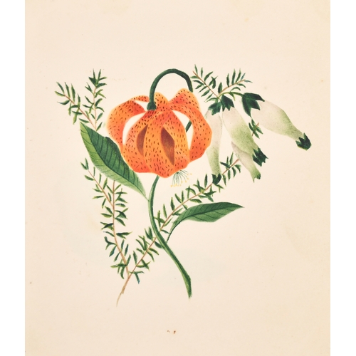 47 - Agnes Strickland (19th Century) British. An Album Containing Watercolours of still life studies, flo... 