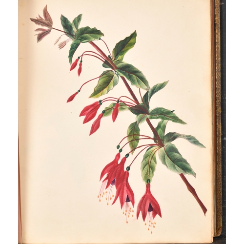 47 - Agnes Strickland (19th Century) British. An Album Containing Watercolours of still life studies, flo... 