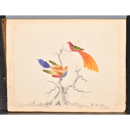 47 - Agnes Strickland (19th Century) British. An Album Containing Watercolours of still life studies, flo... 