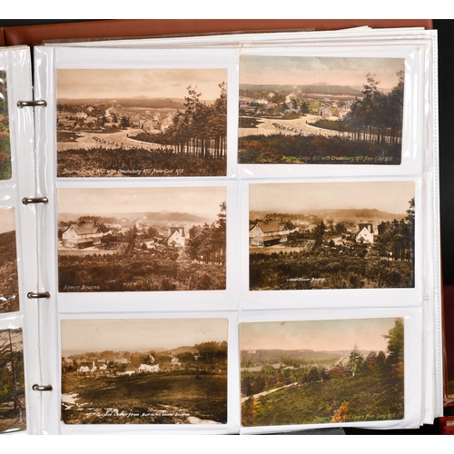 77 - Three large Albums of early 20th century postcards relating to Frensham, Waverley Abbey, Bucks Horn ... 