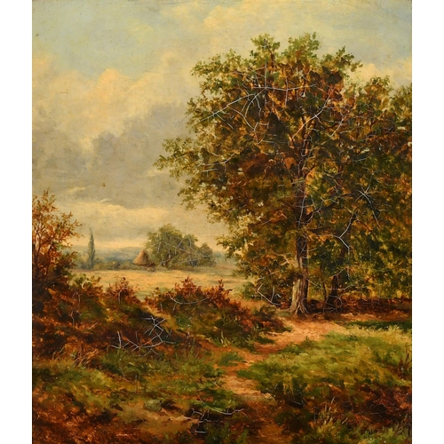 110 - Aubrey E Richmond (19th Century) British. A Woodland Scene, Oil on canvas, Signed and dated 1881, 14... 