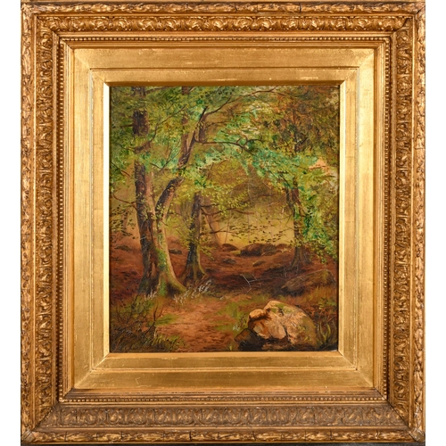 110 - Aubrey E Richmond (19th Century) British. A Woodland Scene, Oil on canvas, Signed and dated 1881, 14... 