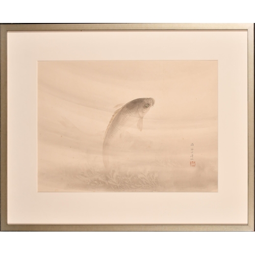 226 - 20th Century Chinese School. A Study of a Carp, Watercolour, Signed with a stamp, 17