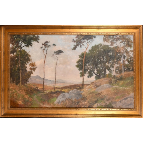 240 - Early 20th Century European School. An Open Landscape, Oil on canvas, 24