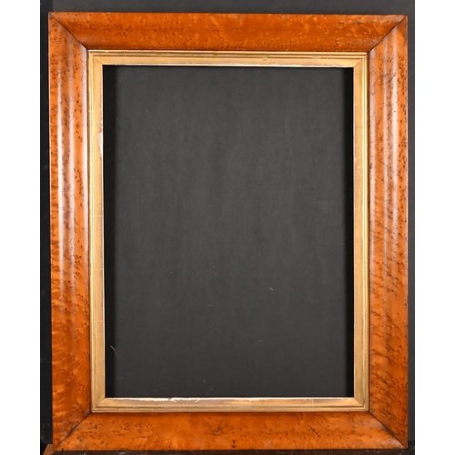 421 - 19th Century English School. A Maple Frame, with a gilt slip, rebate 20.25