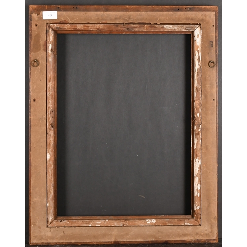 421 - 19th Century English School. A Maple Frame, with a gilt slip, rebate 20.25