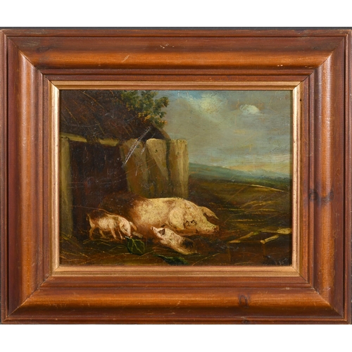 44 - After George Morland (1763-1804) British. A Pig and Piglets in a Sty, Oil on panel, 7.5