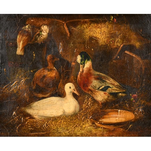 110 - After John Frederick Herring Snr (1795-1865) British. Ducks and Pigeons in a Barn Interior, Oil on c... 