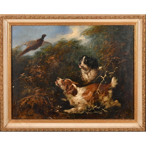 144 - Circle of George Armfield (1808-1893) British. Spaniels Putting Up a Pheasant, Oil on canvas, 14