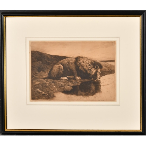 178 - Herbert Dicksee (1862-1942) British. Head of a Lioness, Etching, Signed in pencil, 7.25