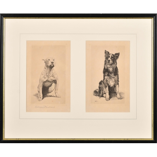 179 - Herbert Dicksee (1862-1942) British. A Seated Dog, Etching, Signed in pencil, 7.5