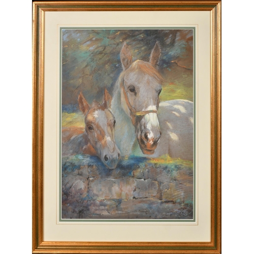 201 - William E Powell (1878-1955) British. A Mare and Foal, Watercolour and chalk, Signed and dated 1910,... 