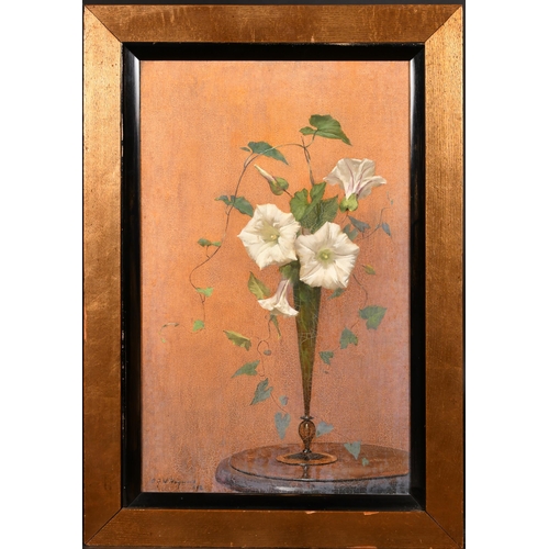 225 - Alfred Frederick William Hayward (1856-1939) British. A Still Life Convolvulus in a Vase, Oil on can... 