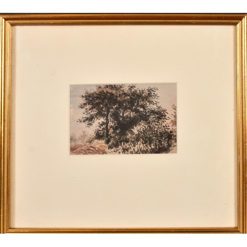 24 - William Henry Hunt (1790-1864) British. A Study of a Tree, Watercolour, Inscribed on a label verso, ... 