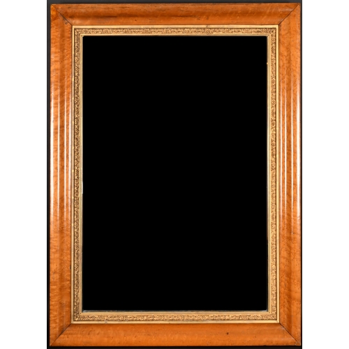 316 - 19th Century English School. A Fine Bird's Eye Maple Frame, with a gilt slip and bevelled mirror gla... 