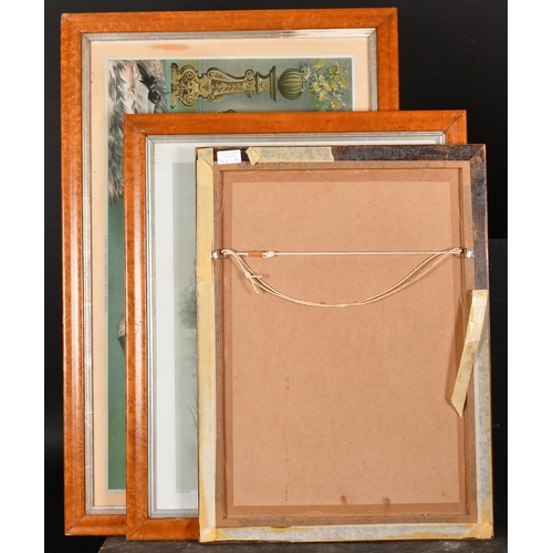 317 - 19th Century English School. A Maple Frame, with a silver slip and inset print and glass, rebate 32