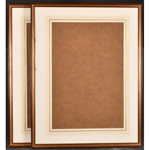 335 - 20th Century English School. A Pair of Gilt Frames, with inset mount and glass, rebate 26