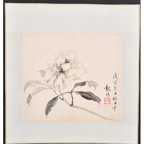 87 - Manner of Shao Mei Chen (1839-1896) Chinese. Study of Blossom, Ink, Bears a stamp, Unframed, 11.5