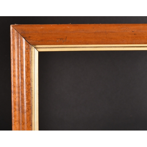 245 - 19th Century English School. A Maple Frame, with a gilt slip, rebate 30