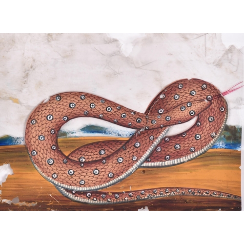 52 - 19th Century Indian School. Study of a Serpent, Watercolour on mica, unframed 4.25