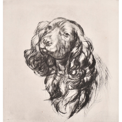 81 - Athene Andrade (1908- 1973) British. Head of a Spaniel, Etching, Signed and numbered 1/33 in pencil,... 