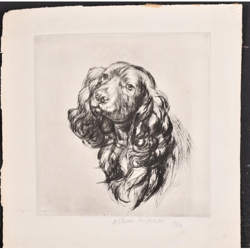 81 - Athene Andrade (1908- 1973) British. Head of a Spaniel, Etching, Signed and numbered 1/33 in pencil,... 