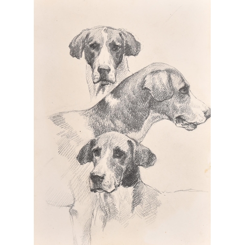 83 - Thomas Blinks (1860-1912) British. Head Studies of Hounds, Pencil, unframed 10