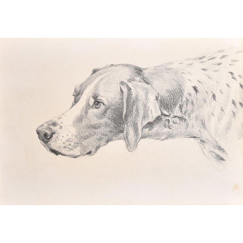 83 - Thomas Blinks (1860-1912) British. Head Studies of Hounds, Pencil, unframed 10