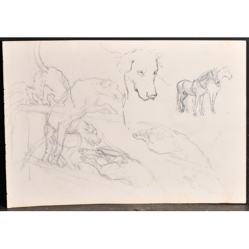 83 - Thomas Blinks (1860-1912) British. Head Studies of Hounds, Pencil, unframed 10