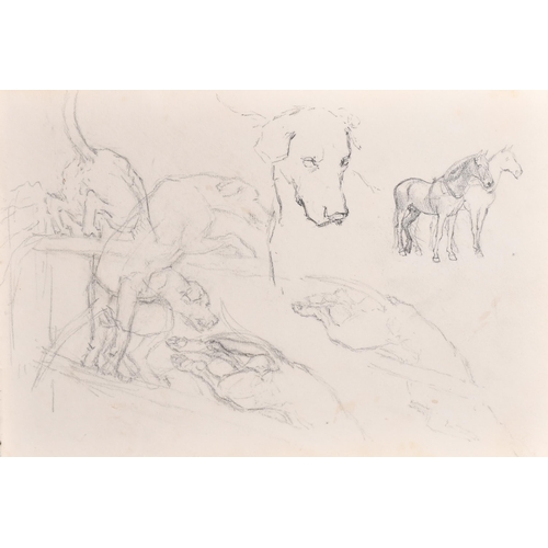 83 - Thomas Blinks (1860-1912) British. Head Studies of Hounds, Pencil, unframed 10