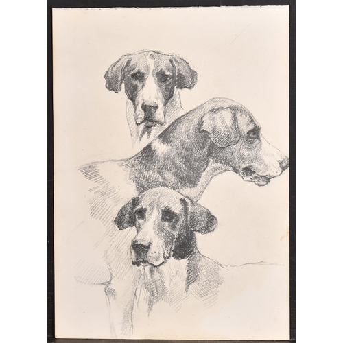 83 - Thomas Blinks (1860-1912) British. Head Studies of Hounds, Pencil, unframed 10