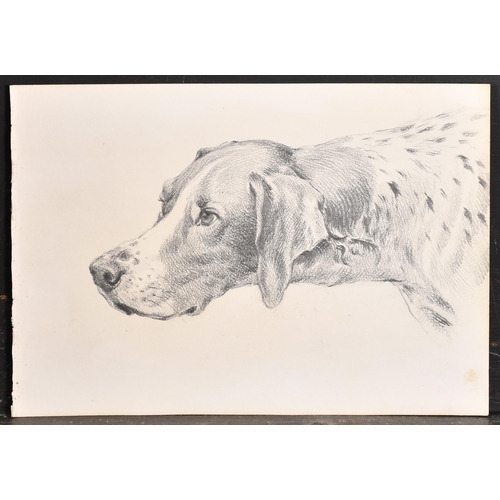 83 - Thomas Blinks (1860-1912) British. Head Studies of Hounds, Pencil, unframed 10