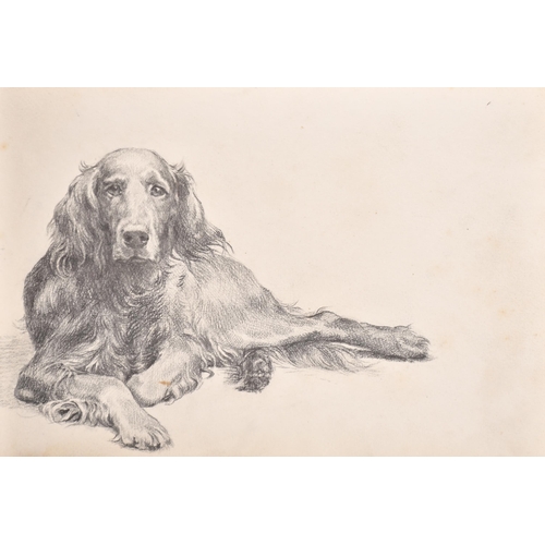 84 - Thomas Blinks (1860-1912) British. Study of a Setter, Pencil, unframed 7