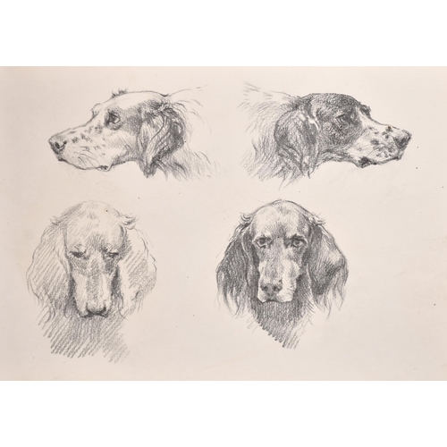 84 - Thomas Blinks (1860-1912) British. Study of a Setter, Pencil, unframed 7