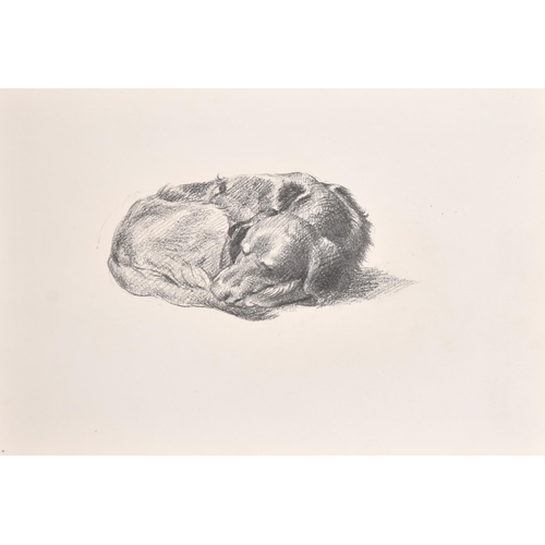 84 - Thomas Blinks (1860-1912) British. Study of a Setter, Pencil, unframed 7