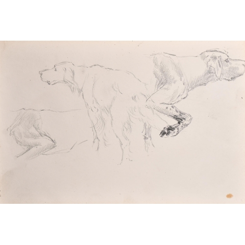 84 - Thomas Blinks (1860-1912) British. Study of a Setter, Pencil, unframed 7